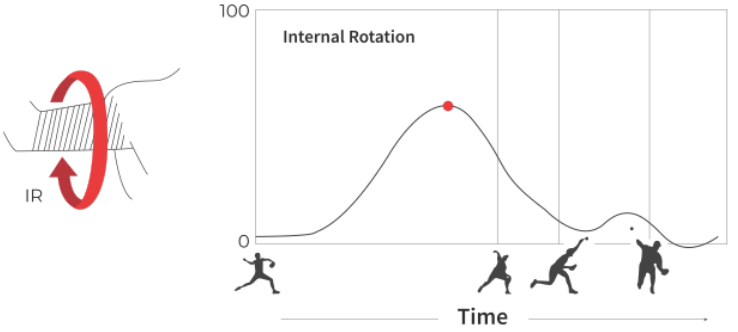 Pitching Internal Rotation Torque