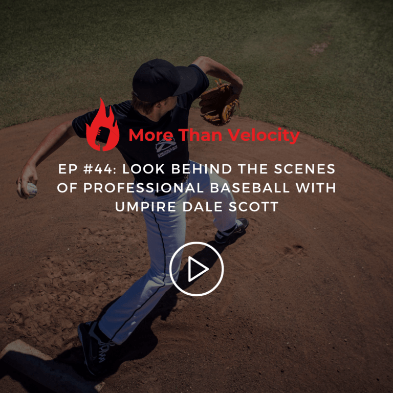 Look Behind the Scenes of Professional Baseball with Umpire Dale Scott